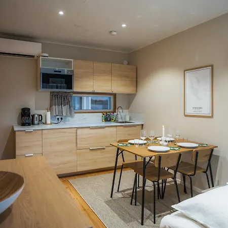 Arctic Snow Mini Апартаменты Рованиеми