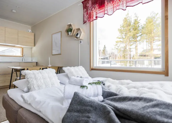 Arctic Snow Mini Apartment